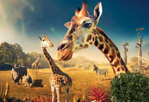 ZooMedia Smart Zoos IoT