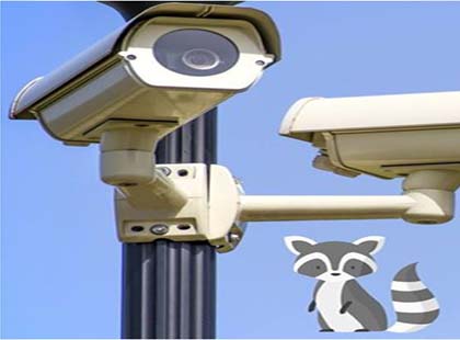 Zoo Media Webcam and Security