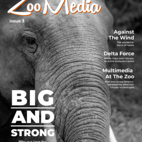 zoomedia-elephant