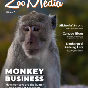 zoomedia-monkey
