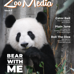 zoomedia-panda